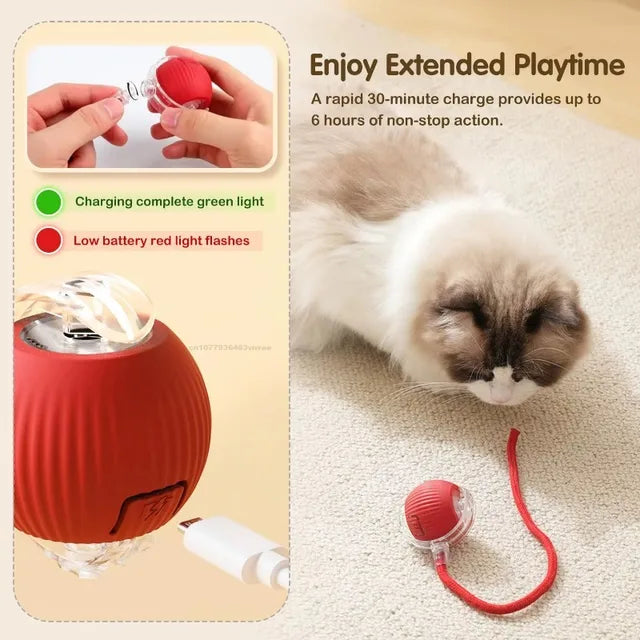 ⚡ Interactive Smart Cat Toy Ball – USB Rechargeable, Auto-Rolling with Lights & Sound