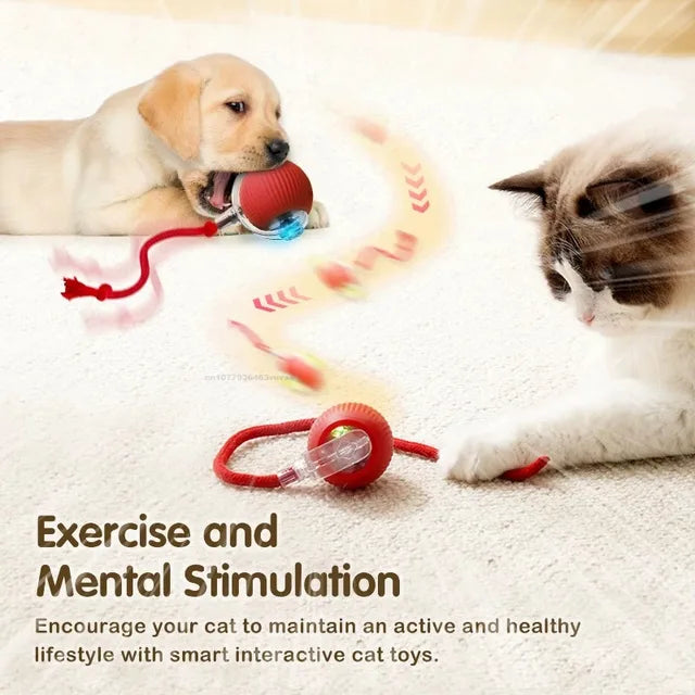 ⚡ Interactive Smart Cat Toy Ball – USB Rechargeable, Auto-Rolling with Lights & Sound