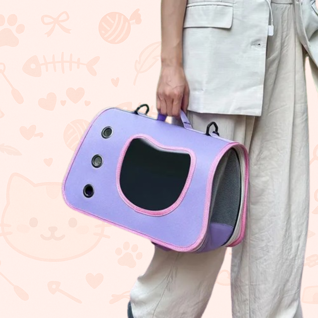 🐾 Portable Foldable Pet Carrier Bag