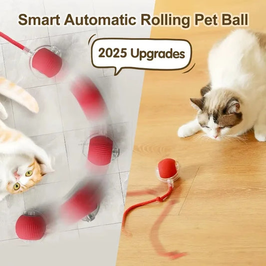 ⚡ Interactive Smart Cat Toy Ball – USB Rechargeable, Auto-Rolling with Lights & Sound