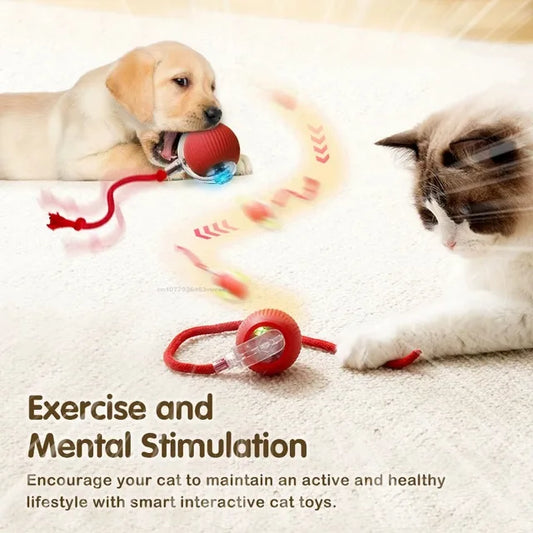 ⚡ Interactive Smart Cat Toy Ball – USB Rechargeable, Auto-Rolling with Lights & Sound